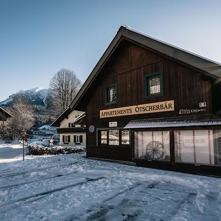 דירה Familienappartement Oetscherbaer